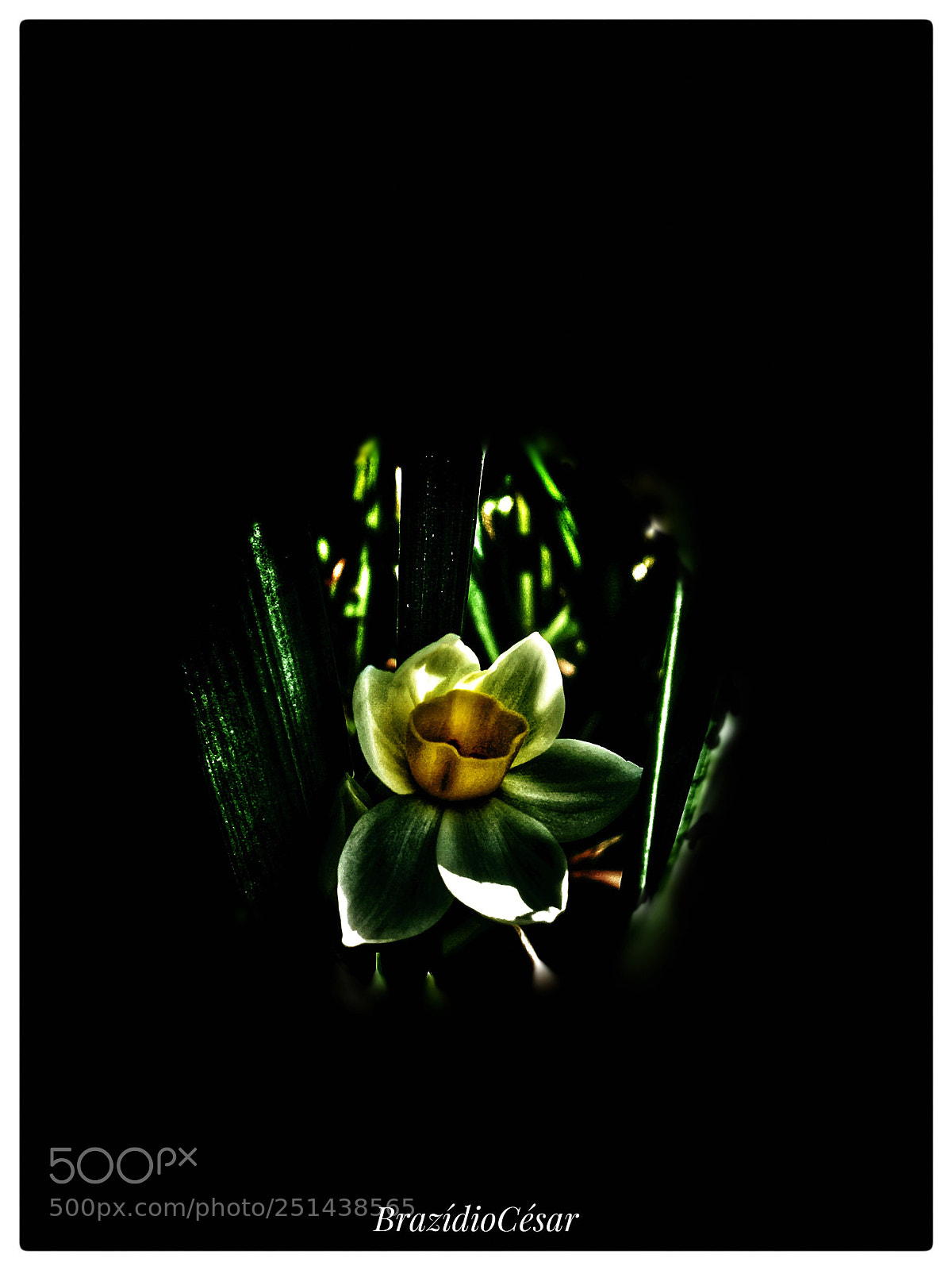 Apple iPhone 6s sample photo. Untitled photography