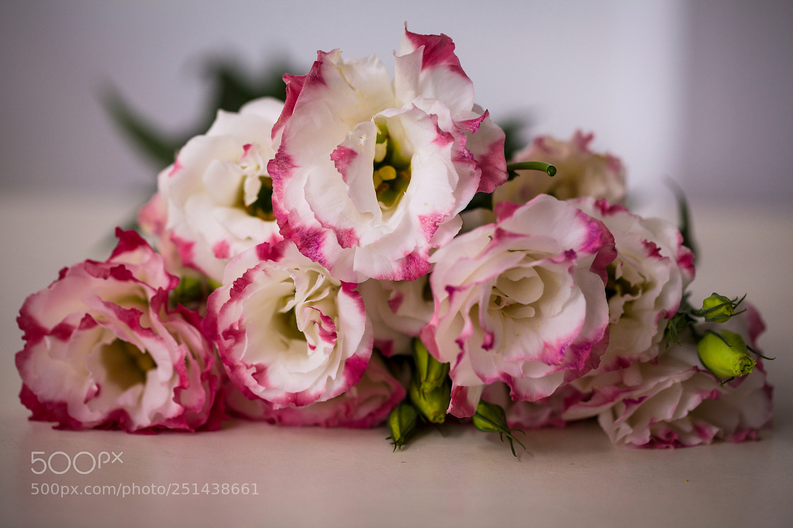 Canon EOS 5D Mark II sample photo. A bouquet of fresh photography