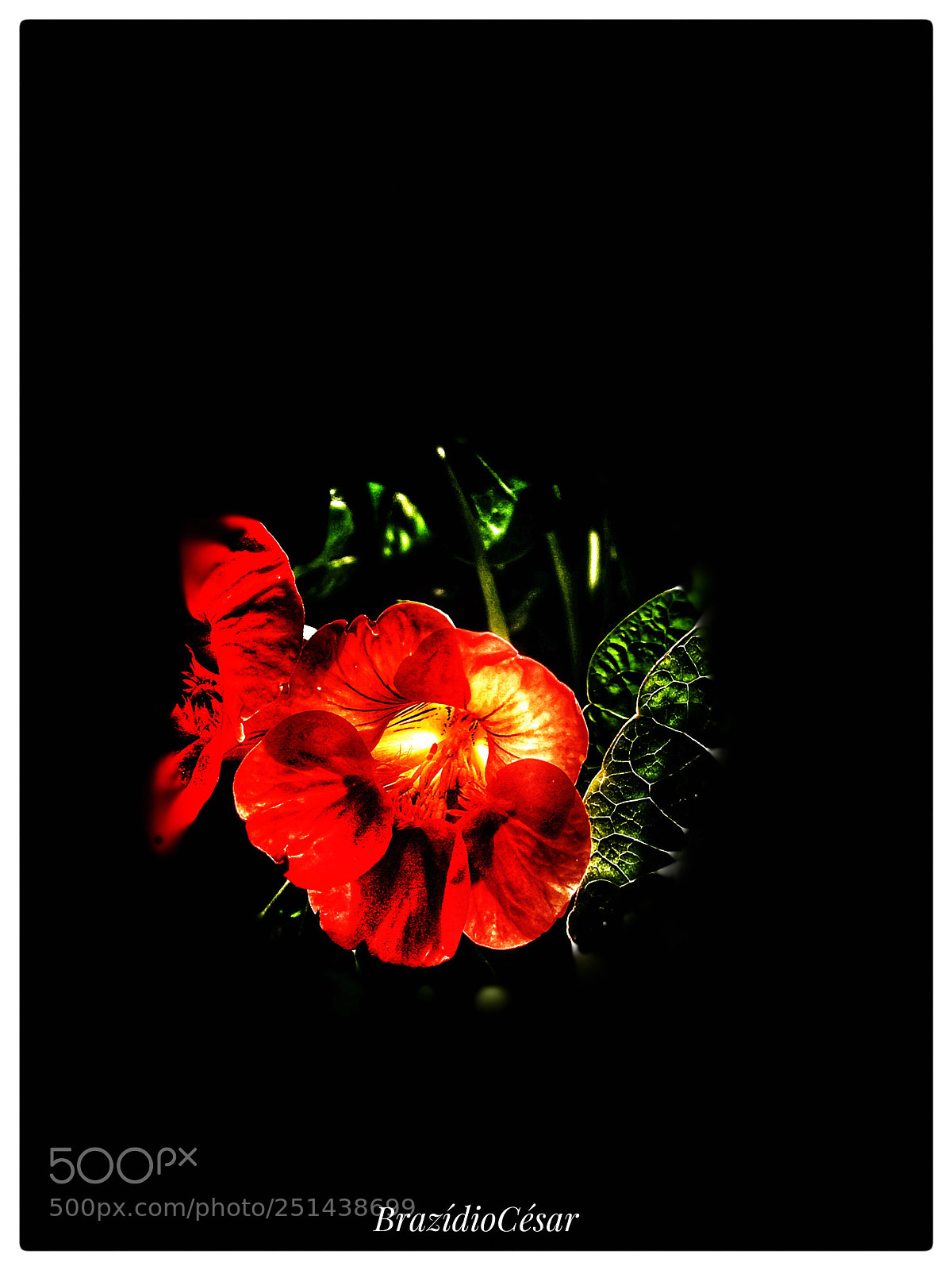 Apple iPhone 6s sample photo. Untitled photography