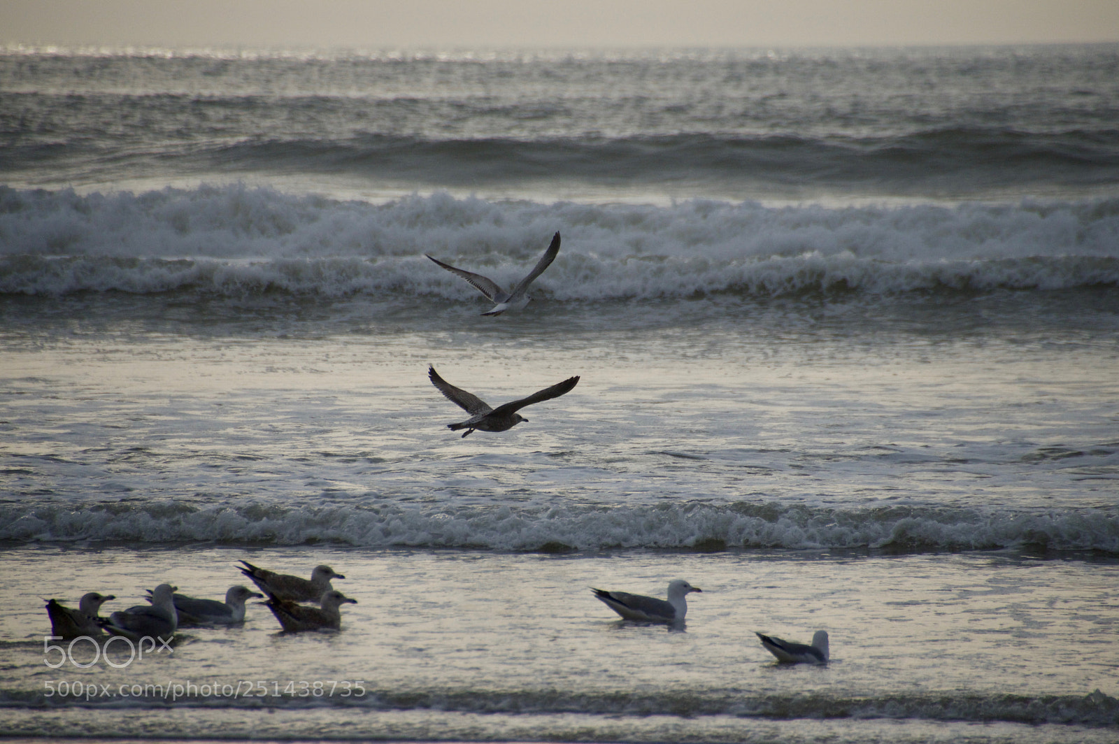 Pentax K-3 sample photo. Andr photography
