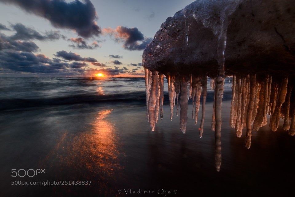 Nikon D800 sample photo. Icicles photography