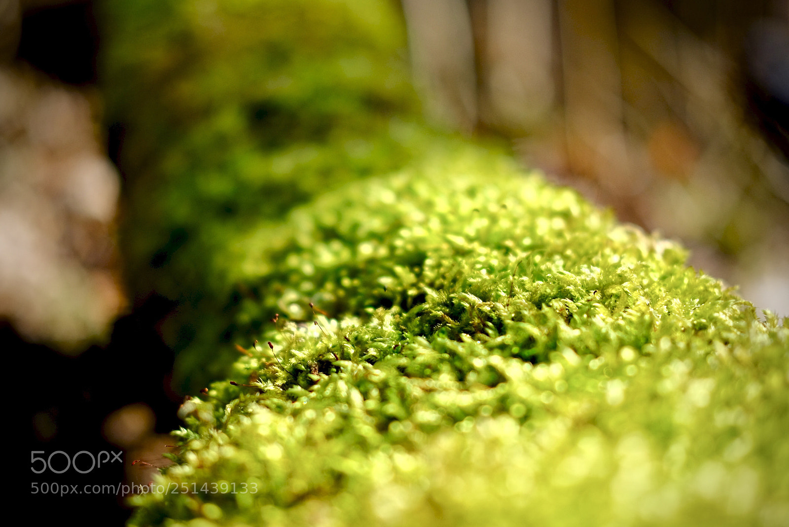 Fujifilm X-T20 sample photo. Untitled photography