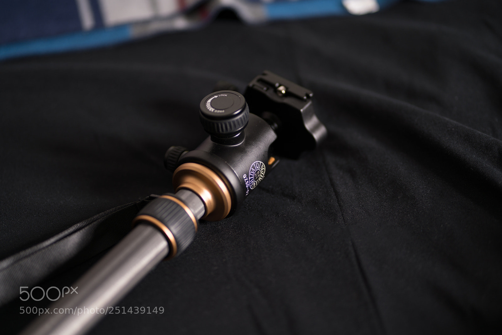 Sony a7R III sample photo. Ariii () photography