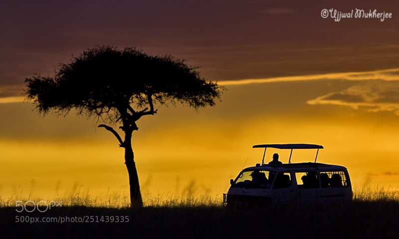 Canon EOS 50D sample photo. African safari #2 photography