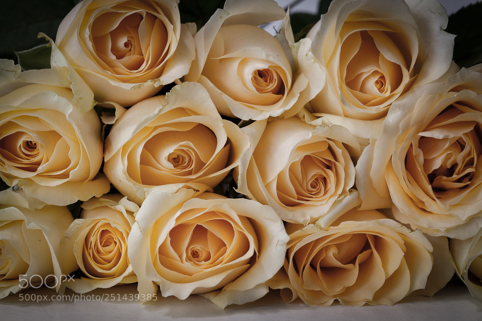 Canon EOS 5D Mark II sample photo. A bouquet of yellow photography