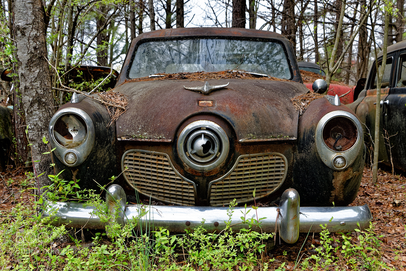 Nikon D800E sample photo. Studebaker photography