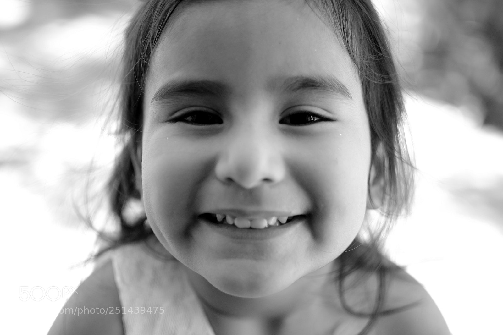 Nikon D3100 sample photo. Untitled photography