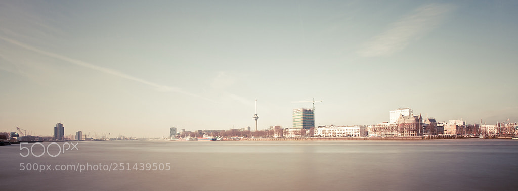 Canon EOS 5D Mark II sample photo. In rotterdam we trust photography