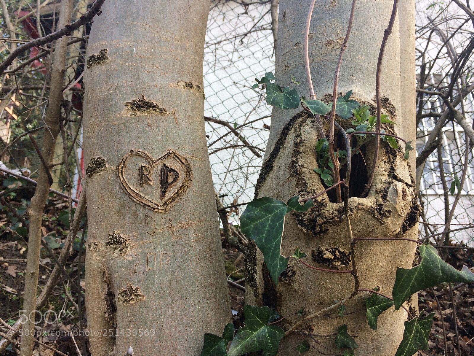 Apple iPhone 5s sample photo. Untitled photography