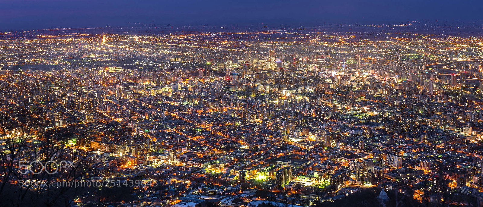 Leica SL (Typ 601) sample photo. Sapporo city from top photography