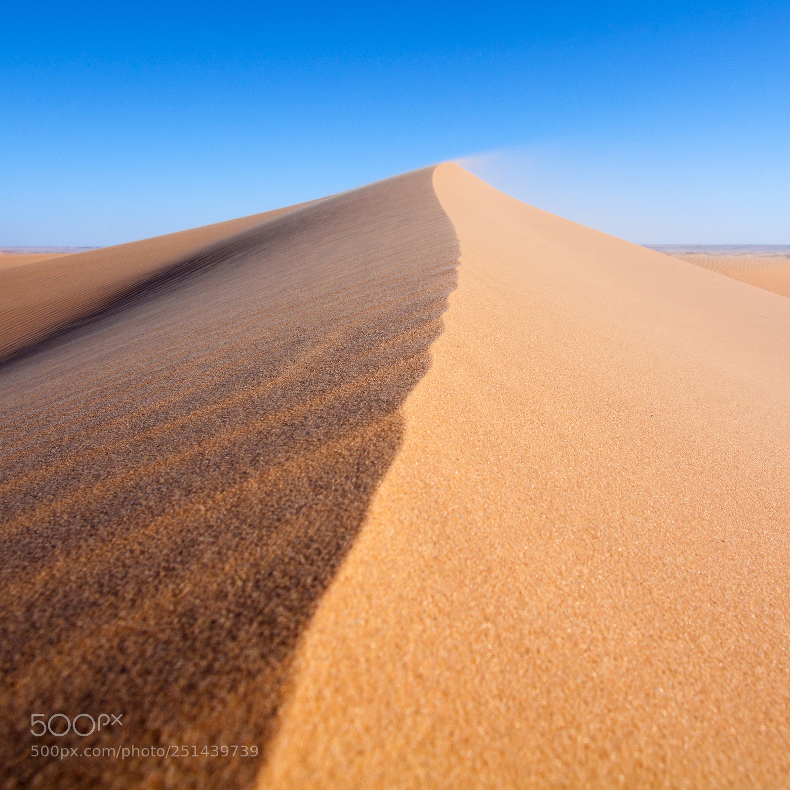 Canon EOS 5D Mark II sample photo. Dune photography
