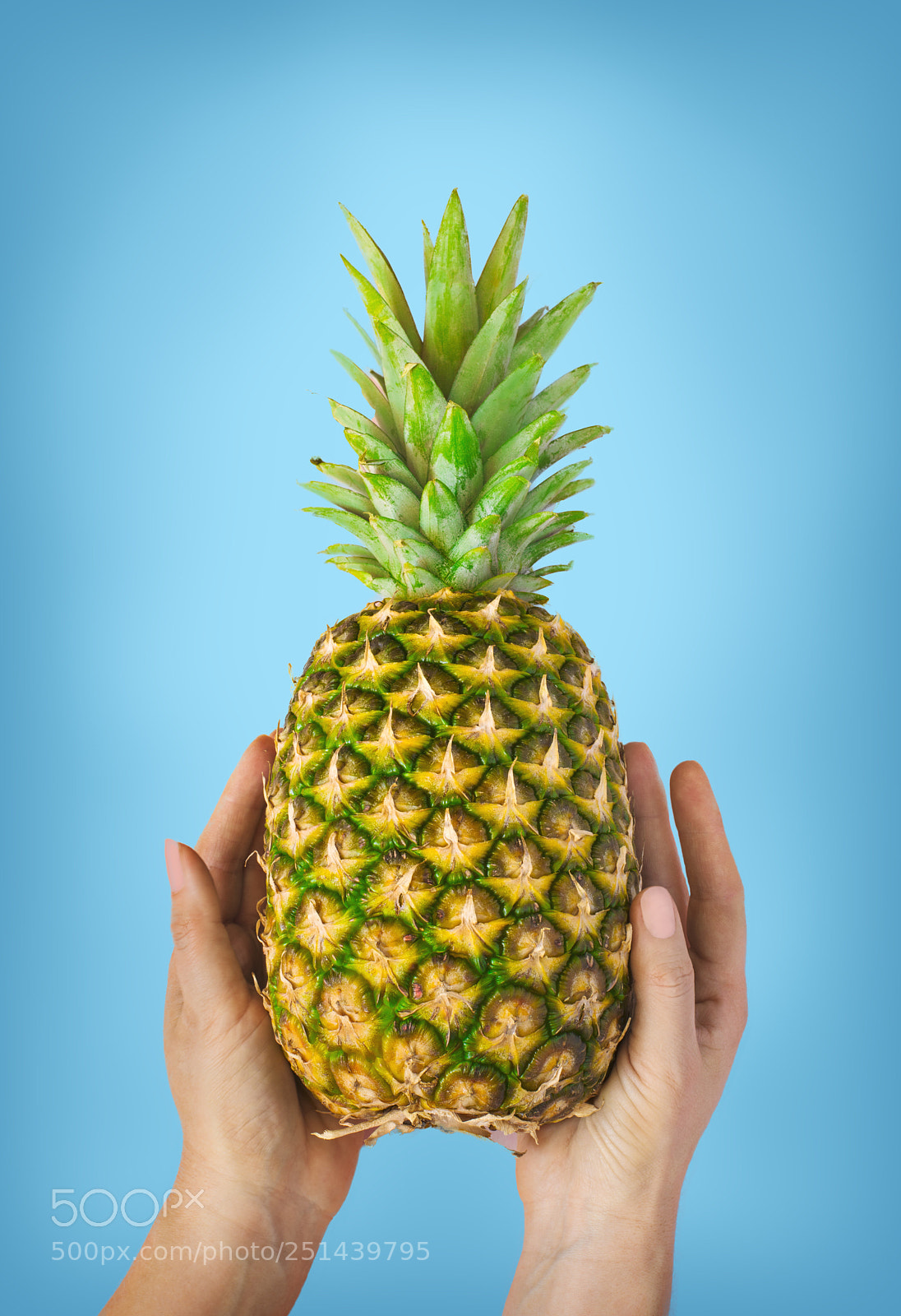 Canon EOS 5D Mark IV sample photo. Female hand with pineapple photography