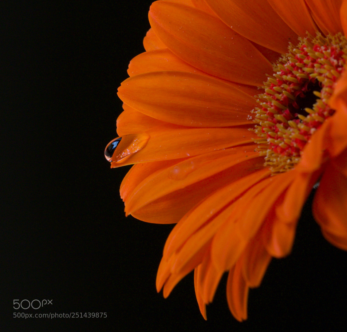 Canon EOS 70D sample photo. Happytear imohlabi photography