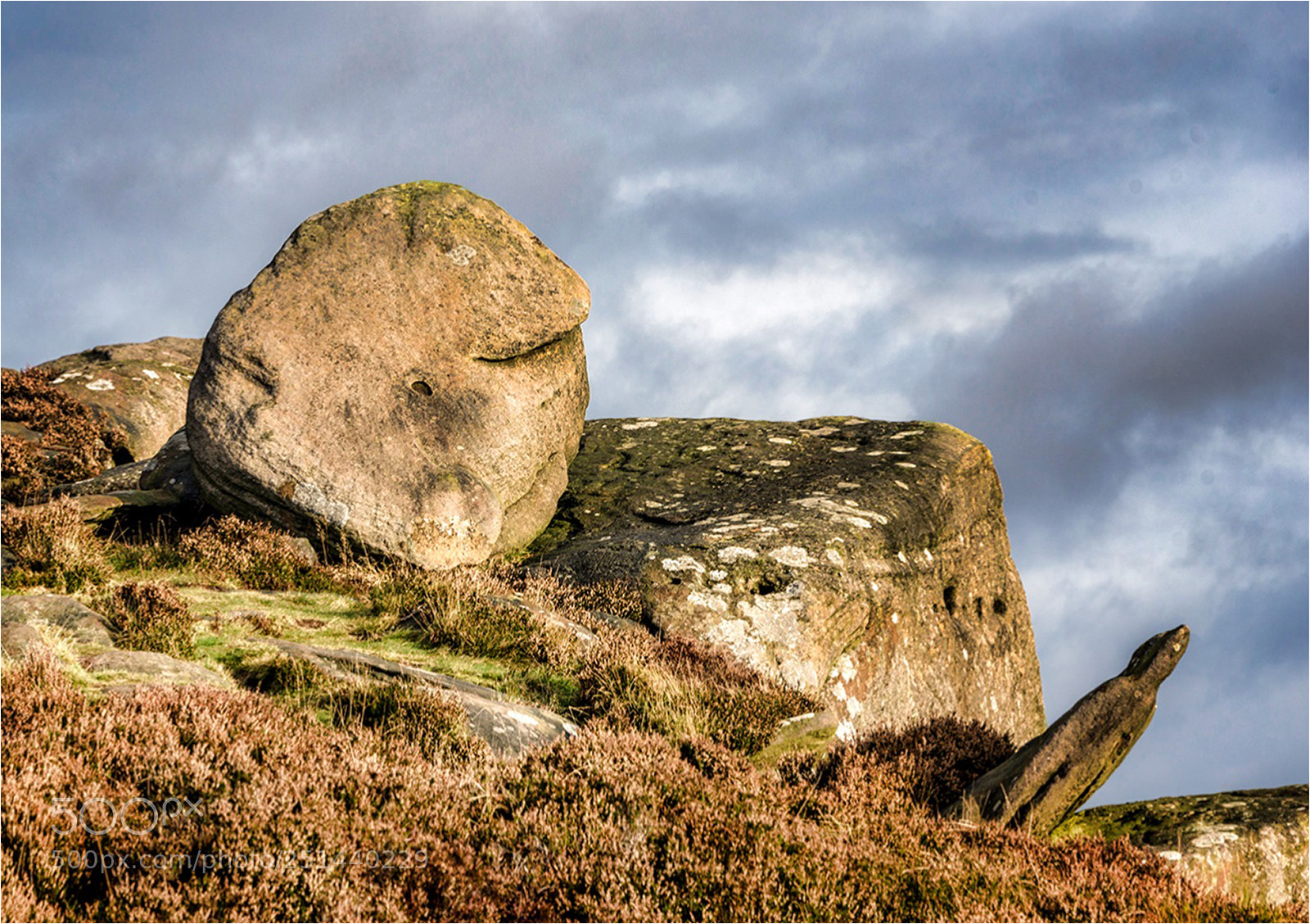 Nikon D610 sample photo. Abandoned millstone photography