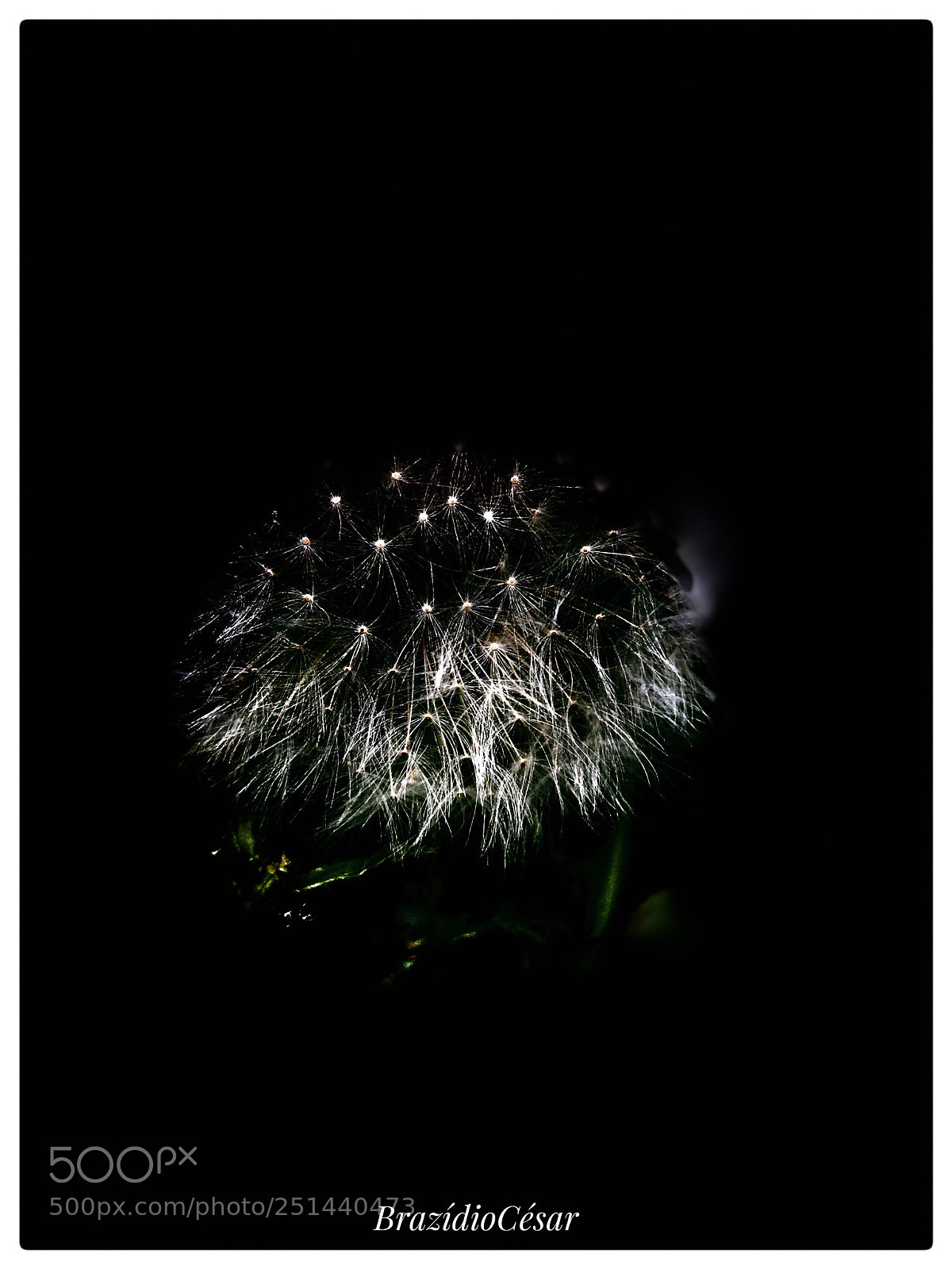 Apple iPhone 6s sample photo. Untitled photography