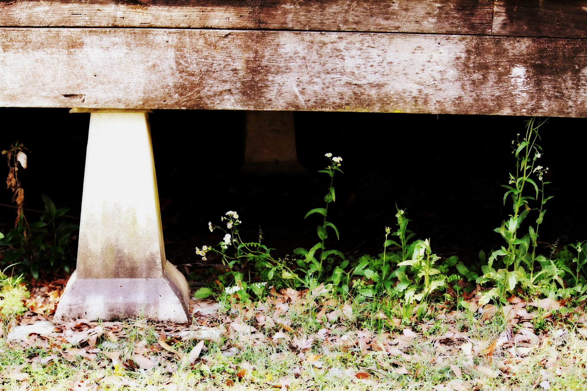 Canon EOS 1100D (EOS Rebel T3 / EOS Kiss X50) sample photo. Abandoned places, louisiana, march 2012 photography