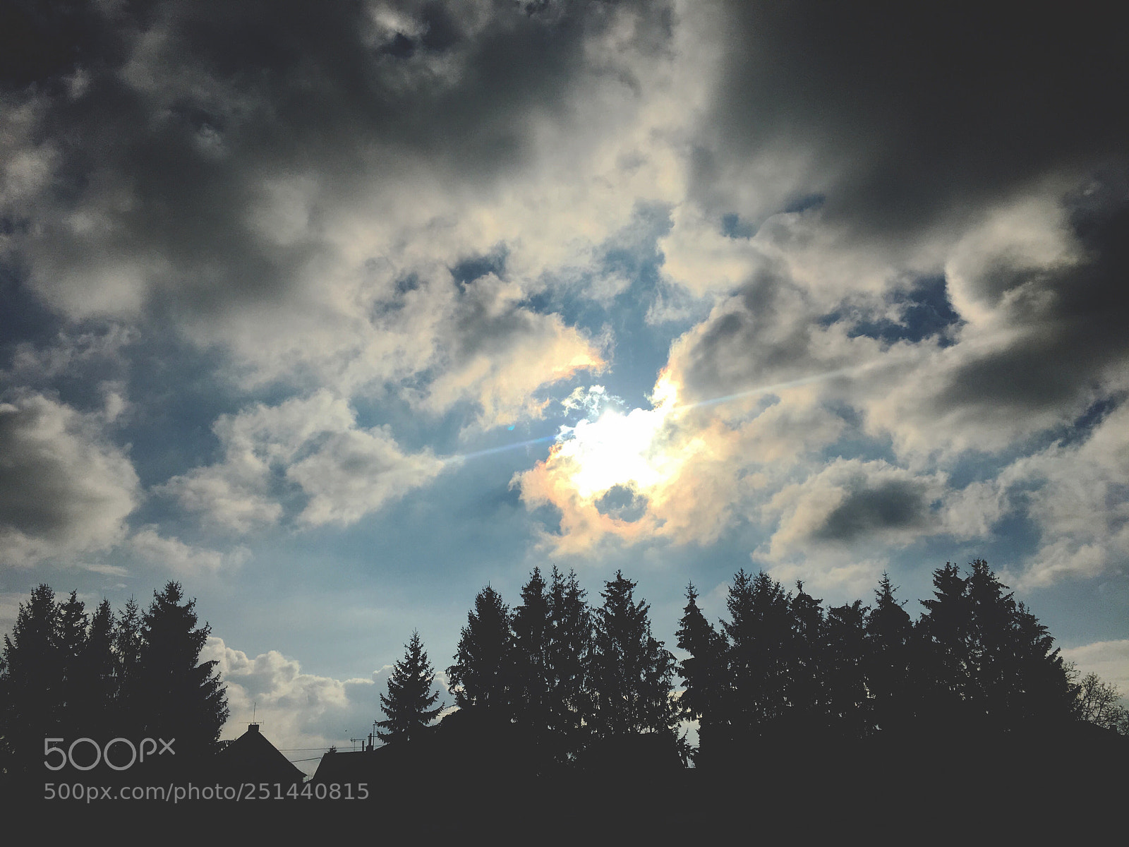 Apple iPhone 6s sample photo. Untitled photography