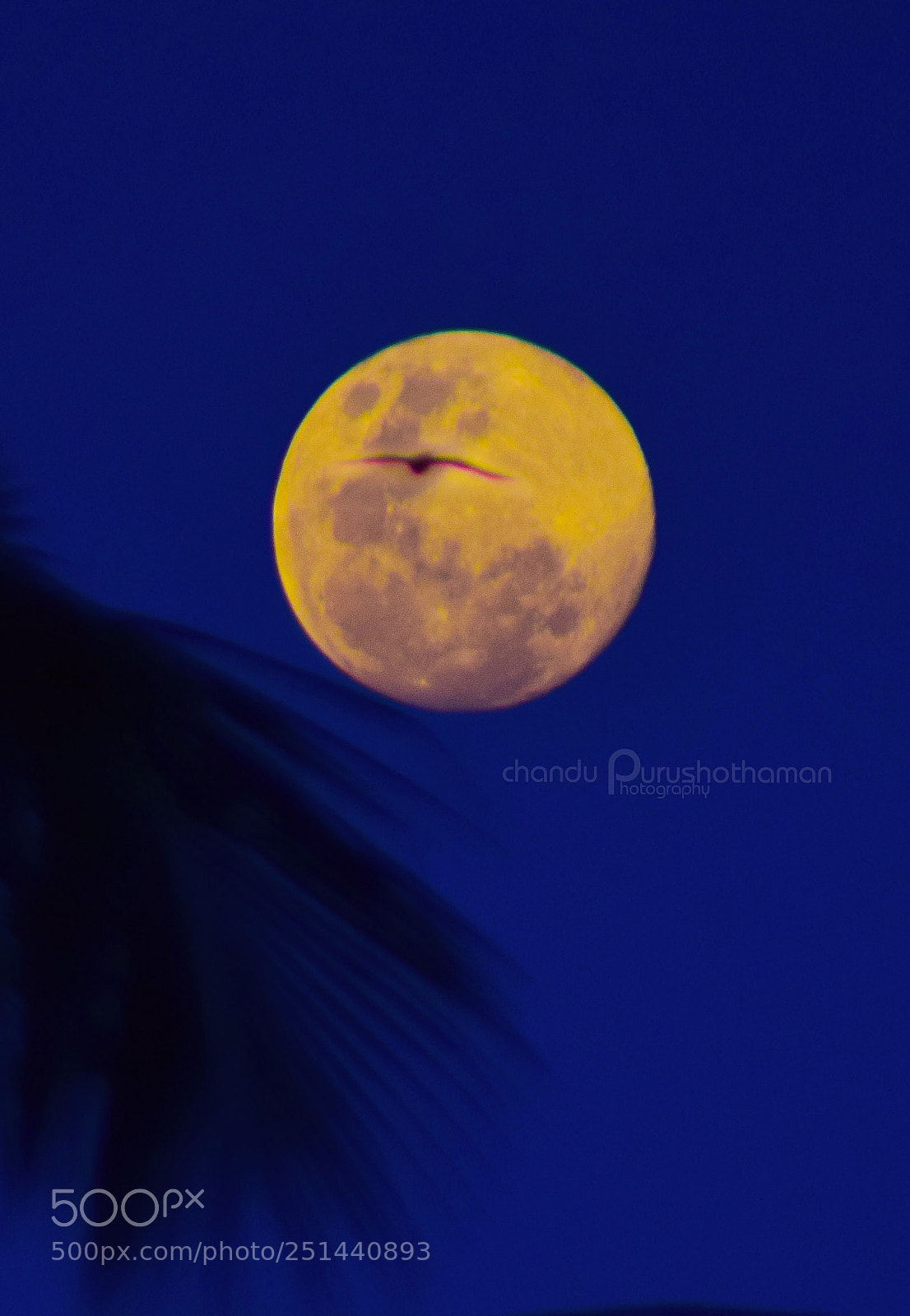 Nikon D5300 sample photo. Moon photography