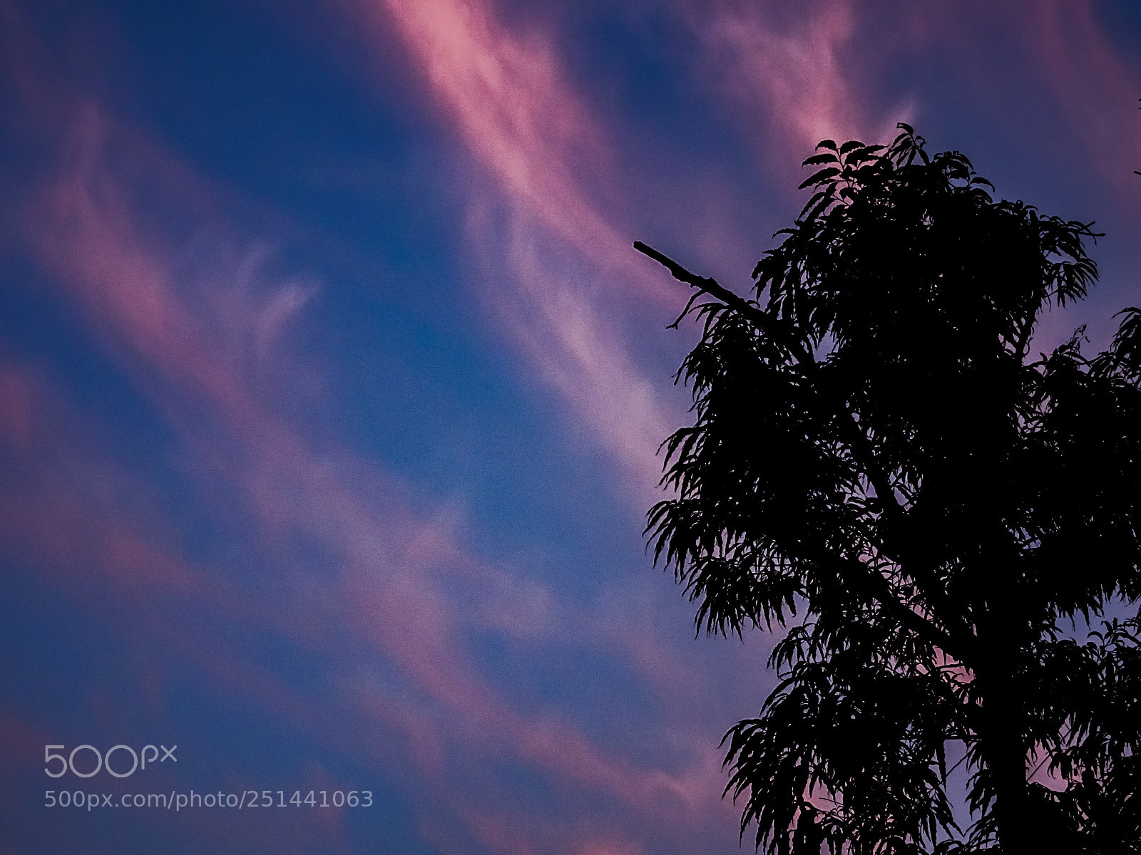 Sony Cyber-shot DSC-HX90V sample photo. Wispy clouds, early morning photography