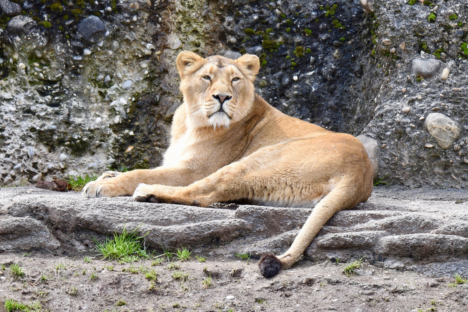Nikon D810 sample photo. Dsc photography