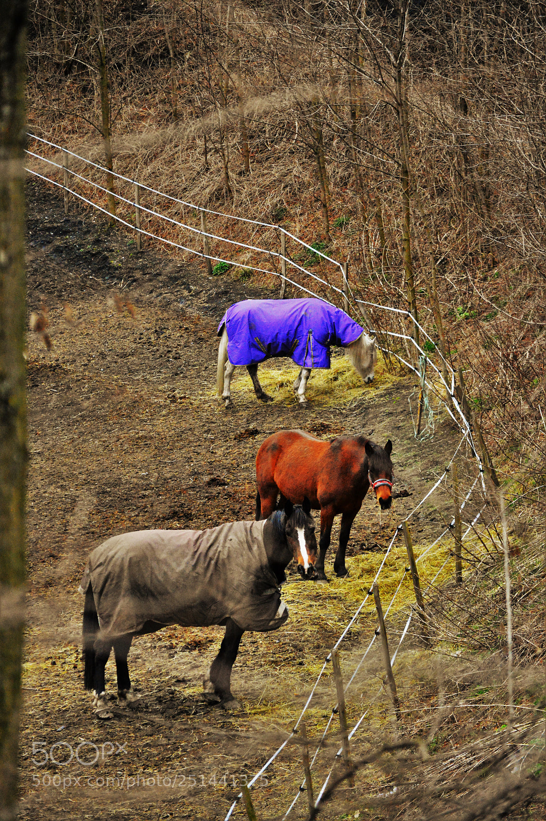 Nikon D3200 sample photo. Untitled photography