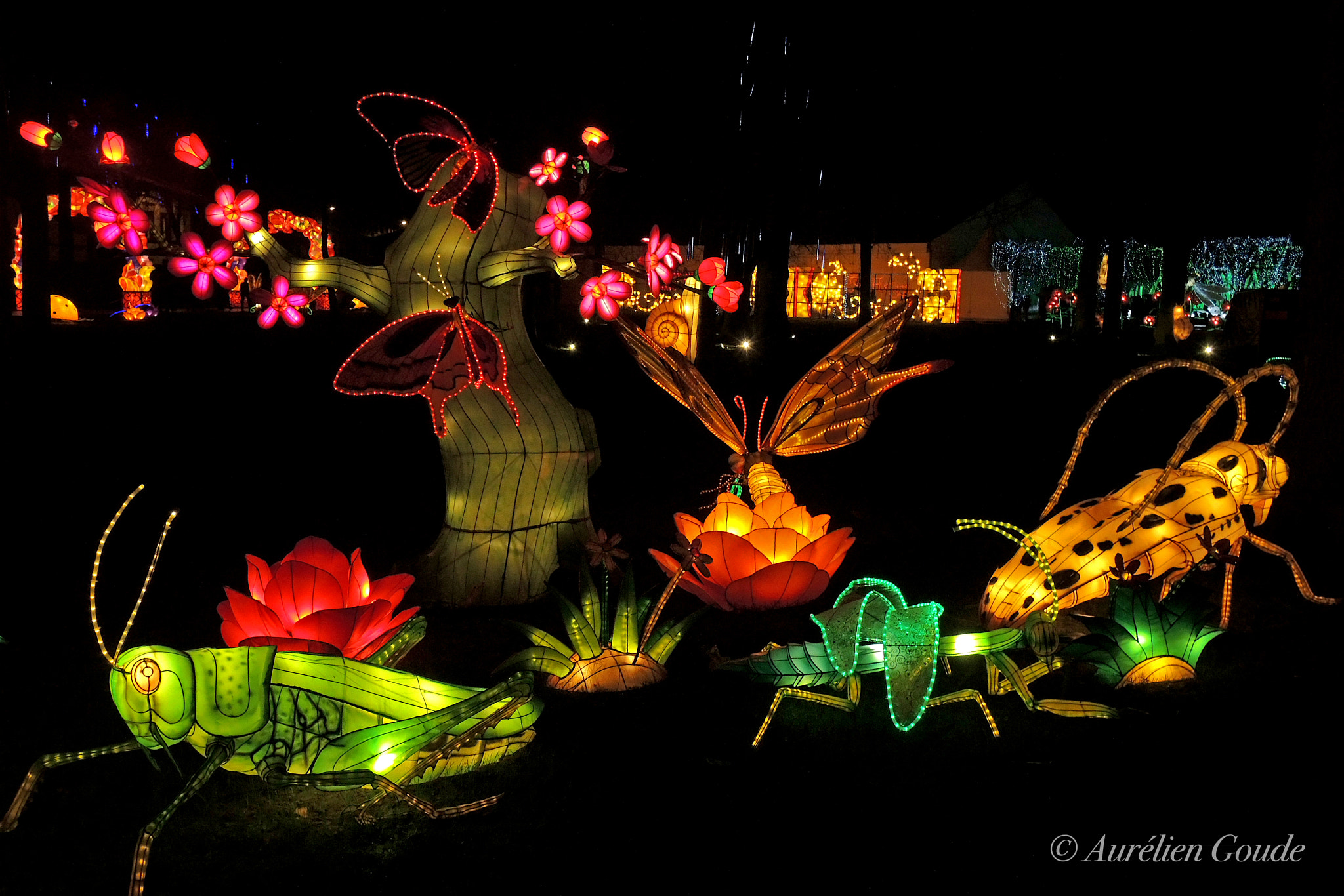 Nikon Coolpix P7700 sample photo. Festival des lanternes de gaillac (janvier 2018) photography
