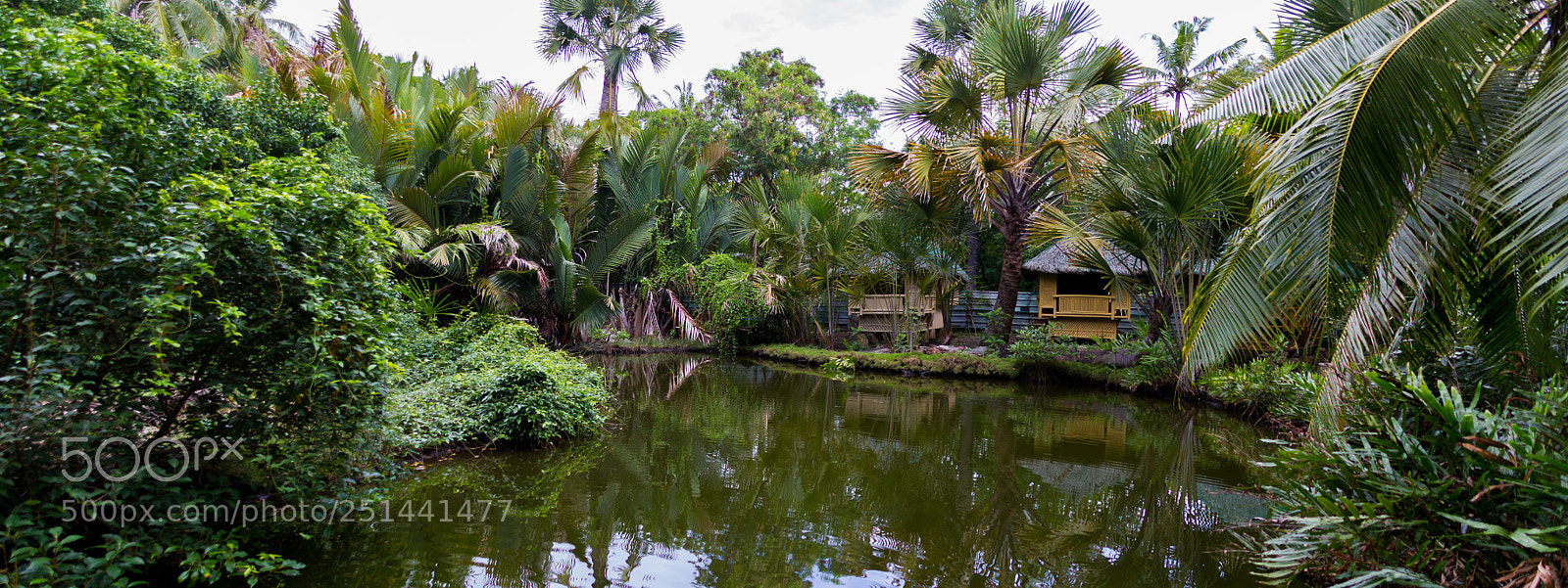 Canon EOS 550D (EOS Rebel T2i / EOS Kiss X4) sample photo. The pond in the photography