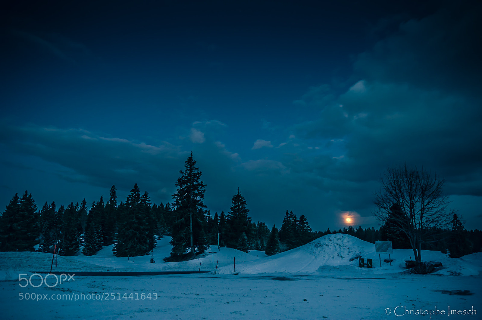 Nikon D700 sample photo. Le jura parc photography