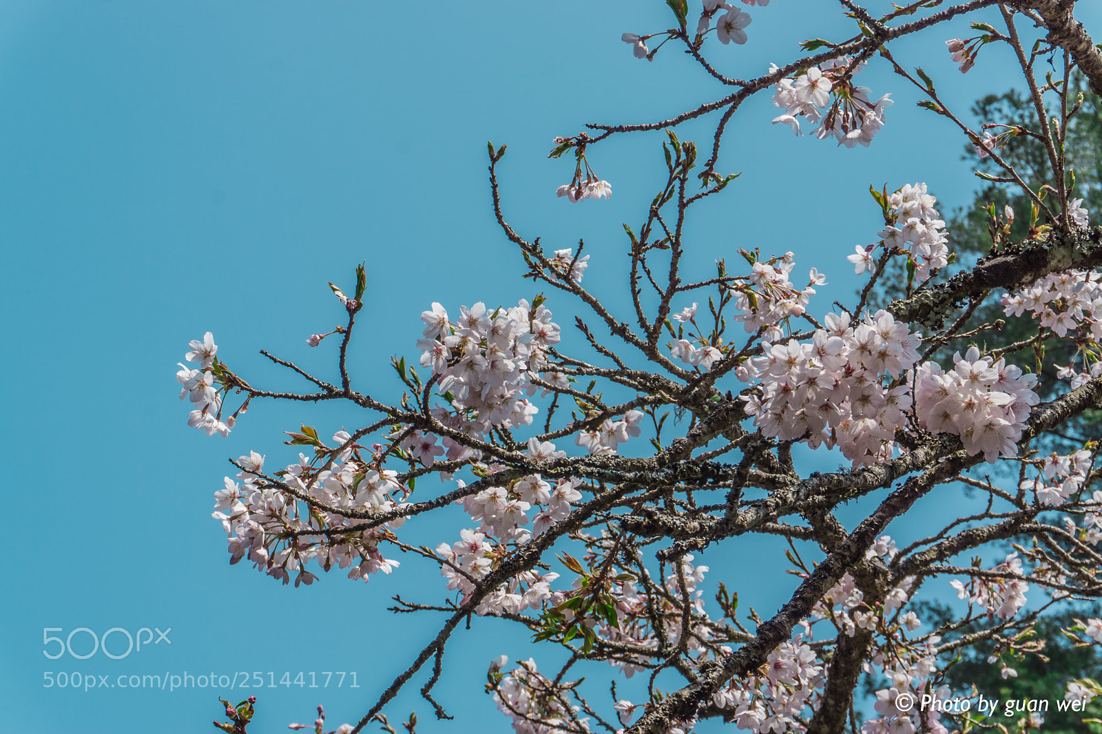 Sony a6000 sample photo. Untitled photography