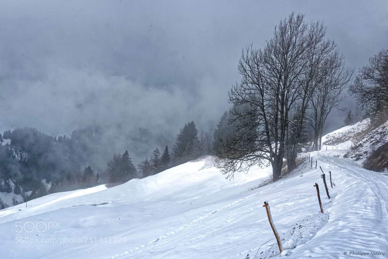 Nikon D5300 sample photo. 20180330.jpg photography