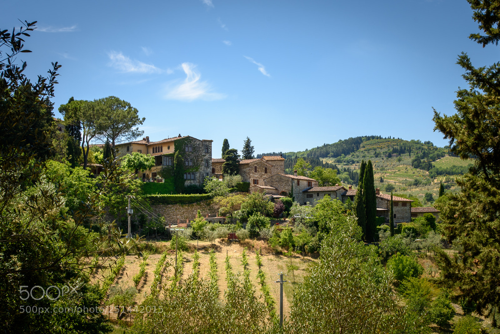 Nikon D810 sample photo. Chianti fields photography