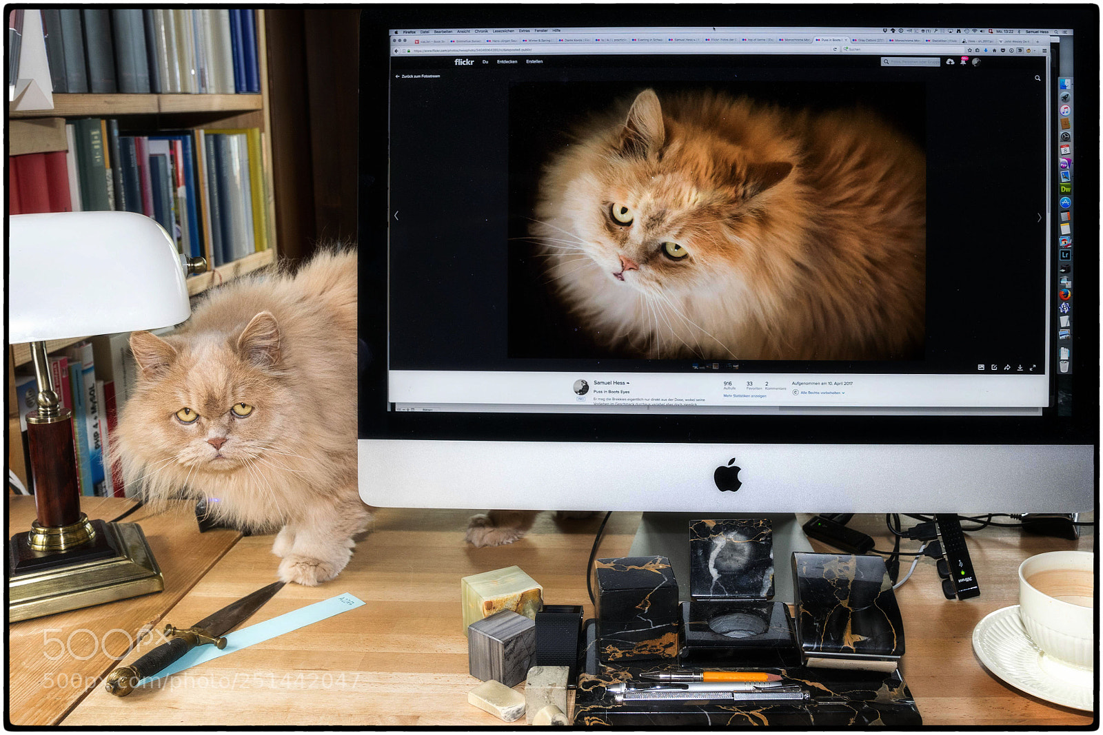 Nikon D5300 sample photo. Flickr friday: frame it photography