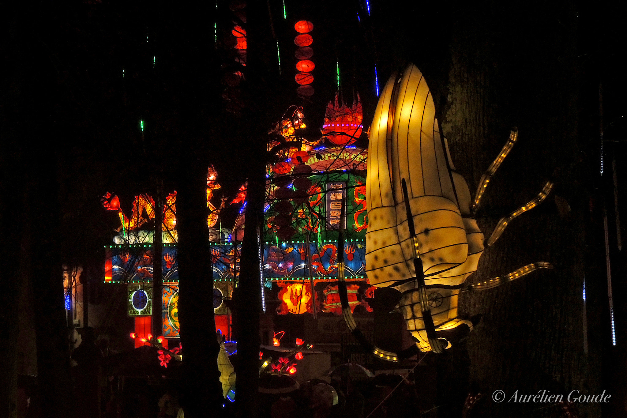 Nikon Coolpix P7700 sample photo. Festival des lanternes de gaillac (janvier 2018) photography