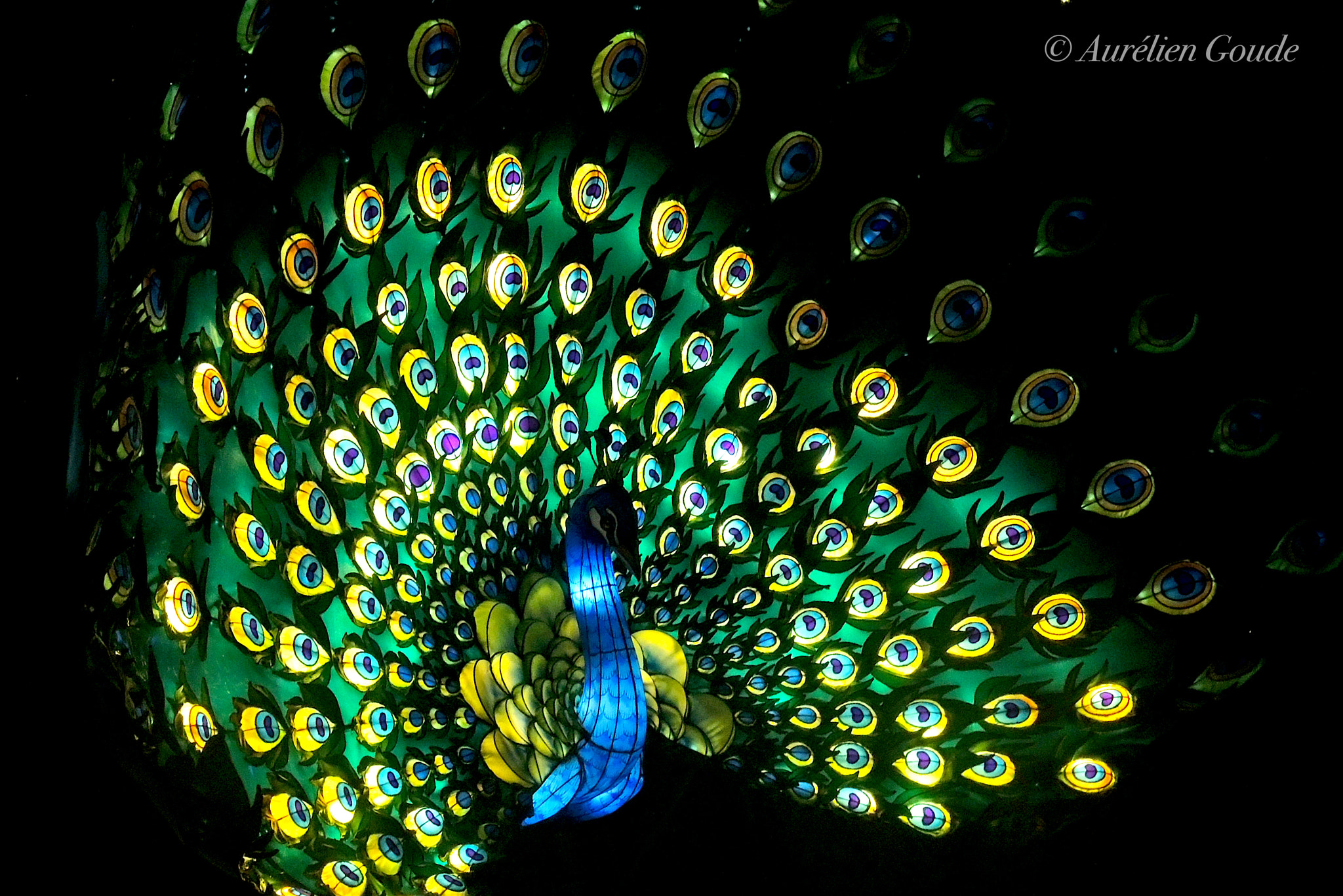 Nikon Coolpix P7700 sample photo. Festival des lanternes de gaillac (janvier 2018) photography