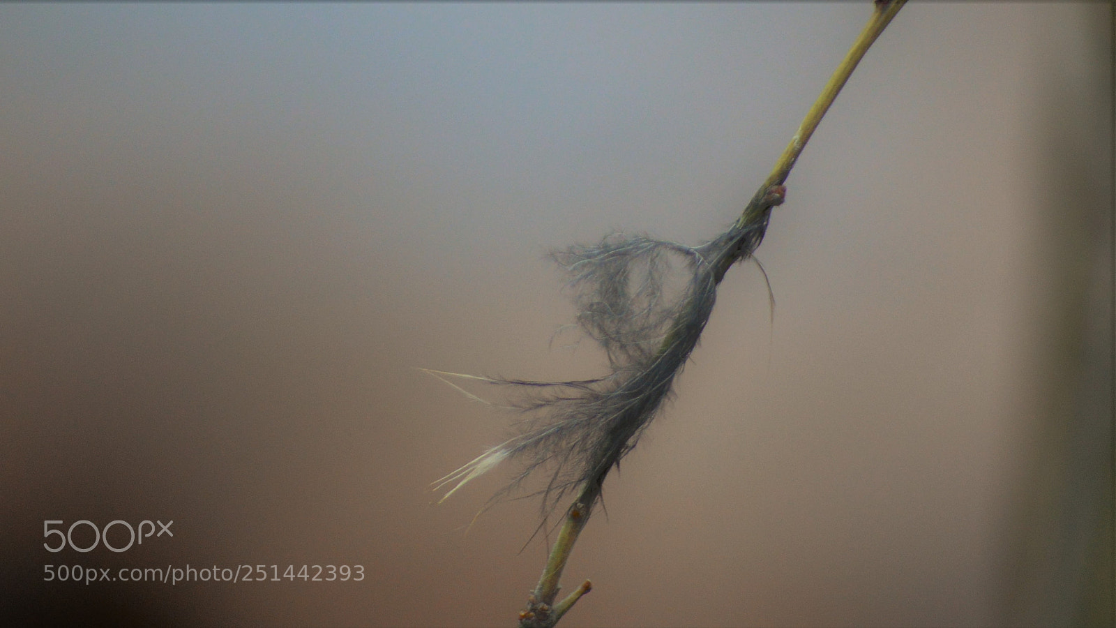 Nikon D3200 sample photo. Untitled photography