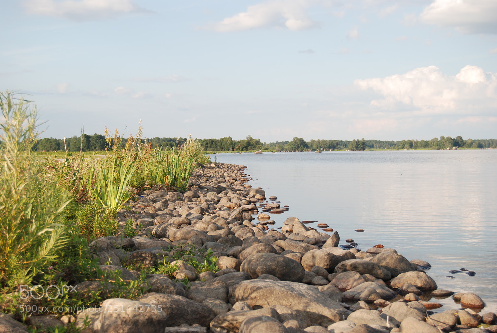 Nikon D80 sample photo. Stone beach photography