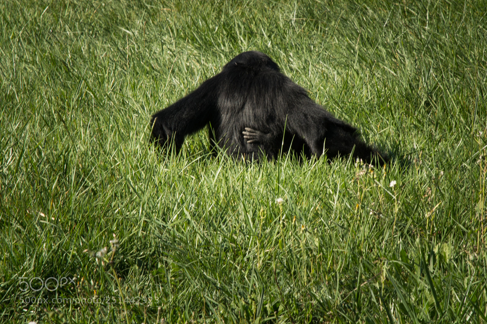 Nikon D7200 sample photo. Untitled photography