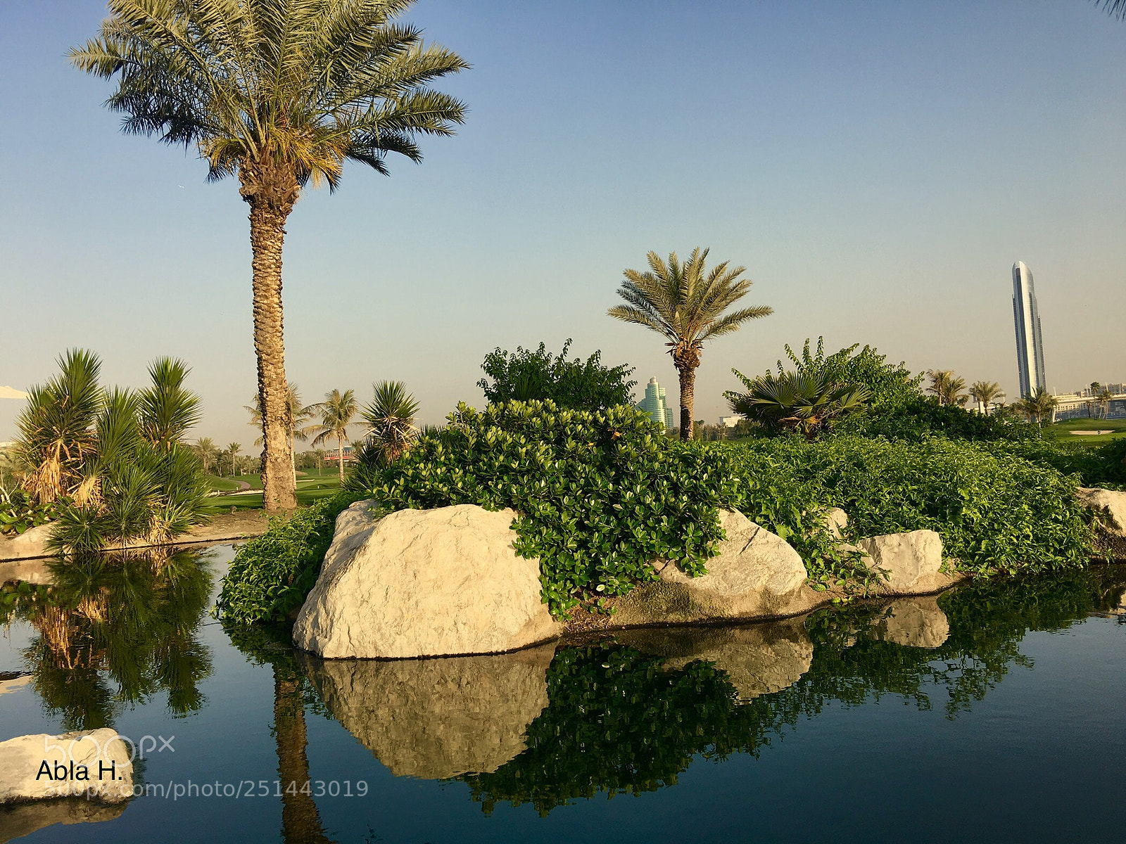 Apple iPhone 6s Plus sample photo. The lake dubai photography