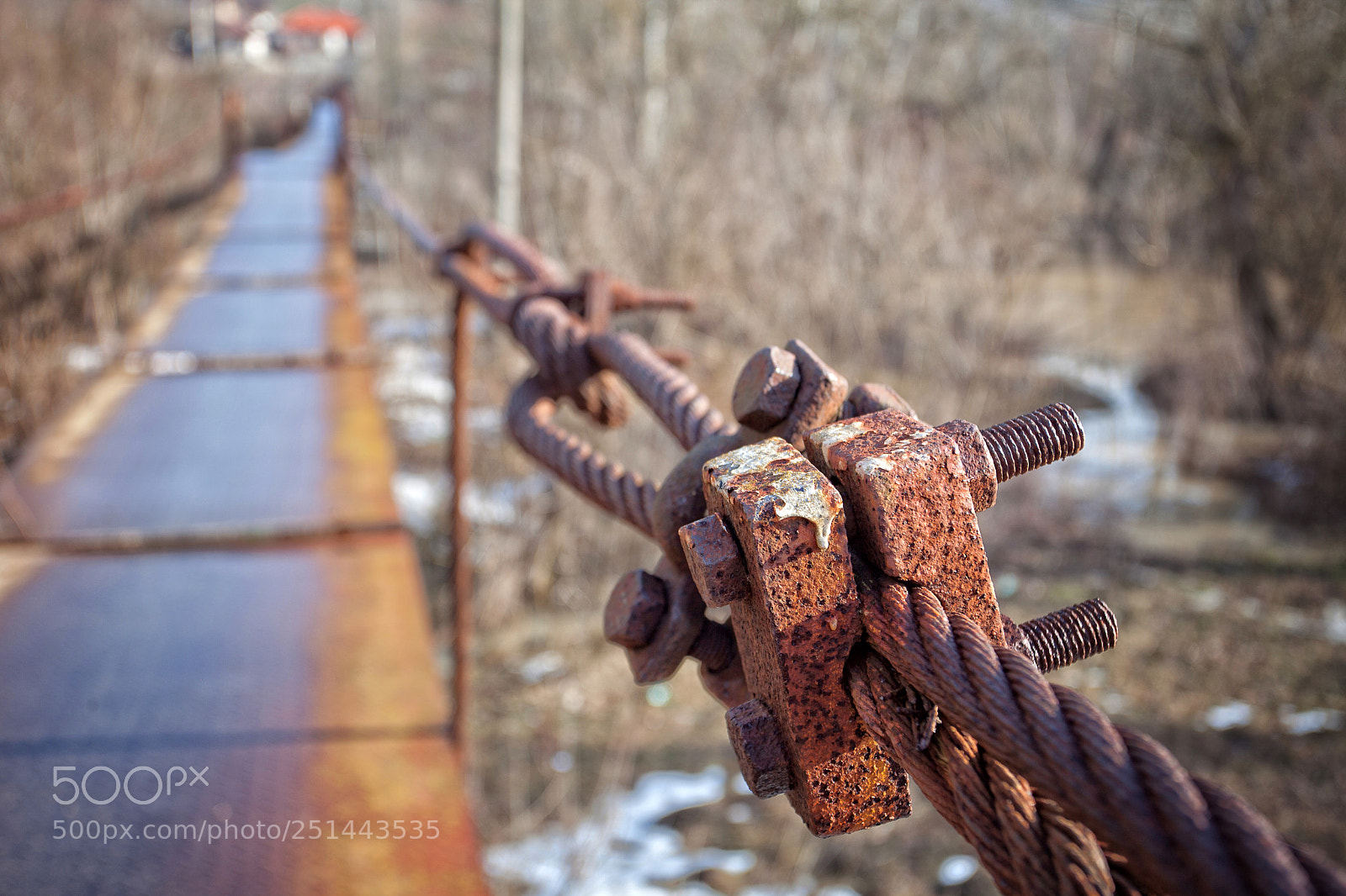 Canon EOS 5D Mark II sample photo. Other ways - detail photography