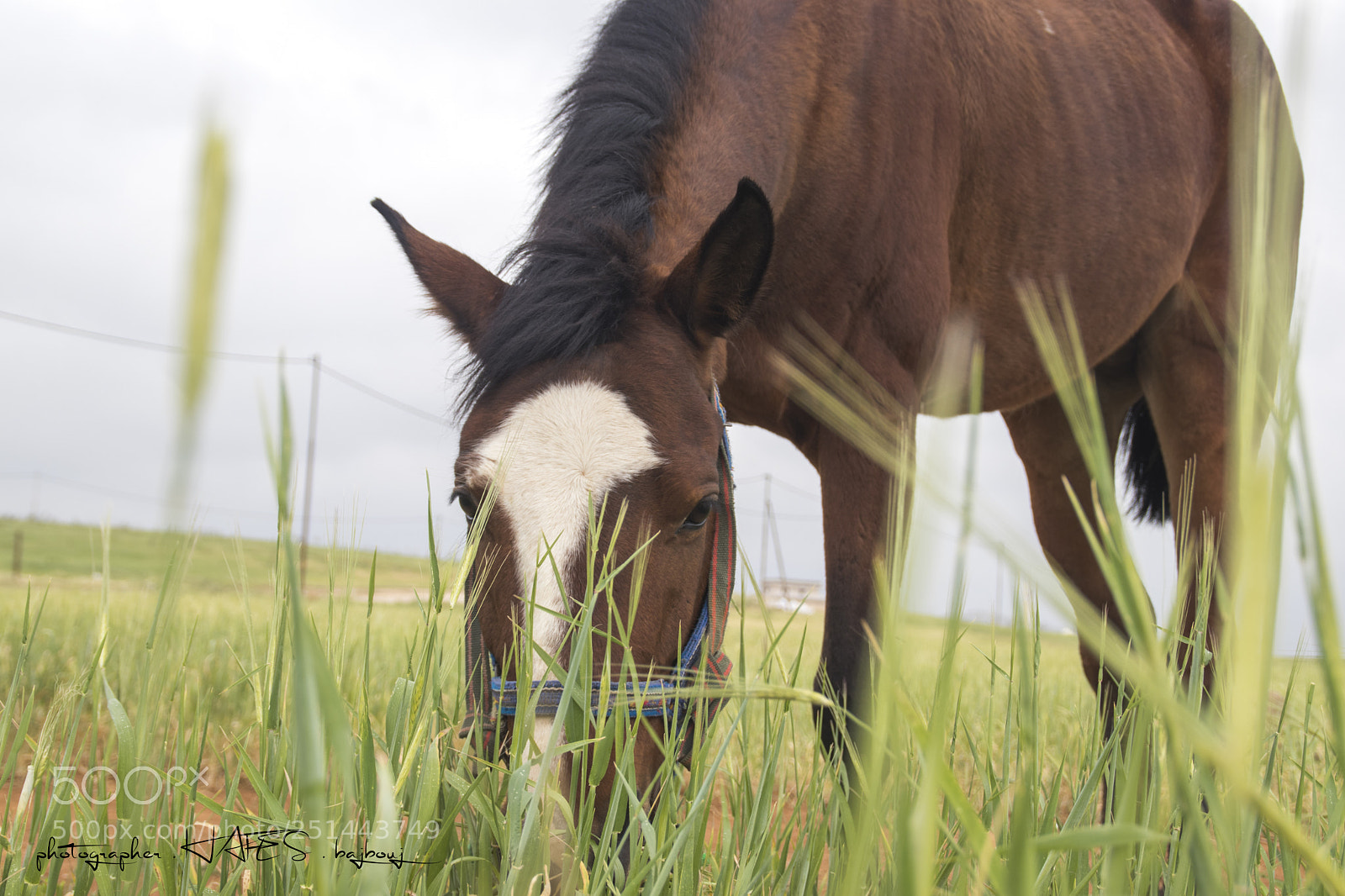 Canon EOS 77D (EOS 9000D / EOS 770D) sample photo. Untitled photography