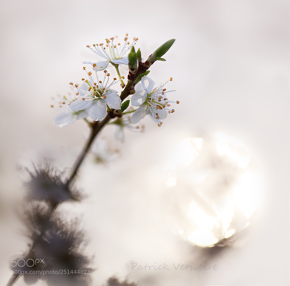 Canon EOS 5DS sample photo. It begins .... photography