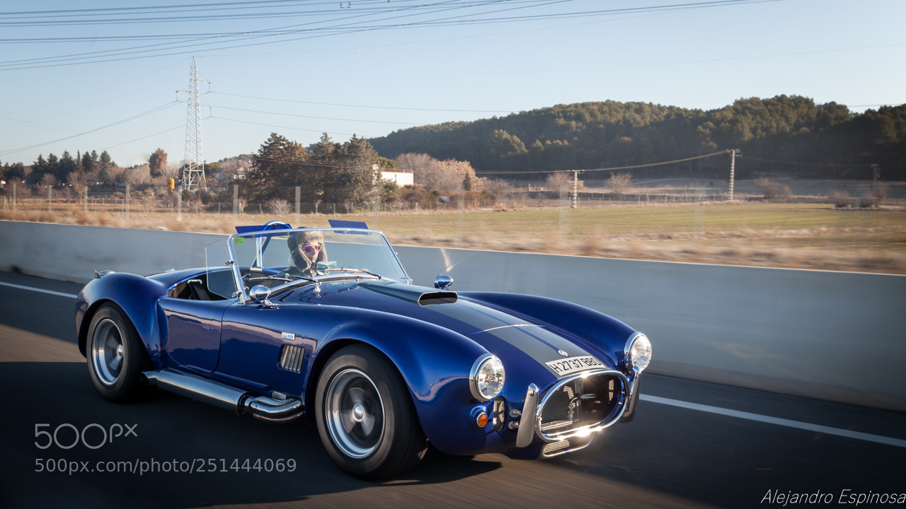 Canon EOS 5D Mark II sample photo. Ac cobra photography