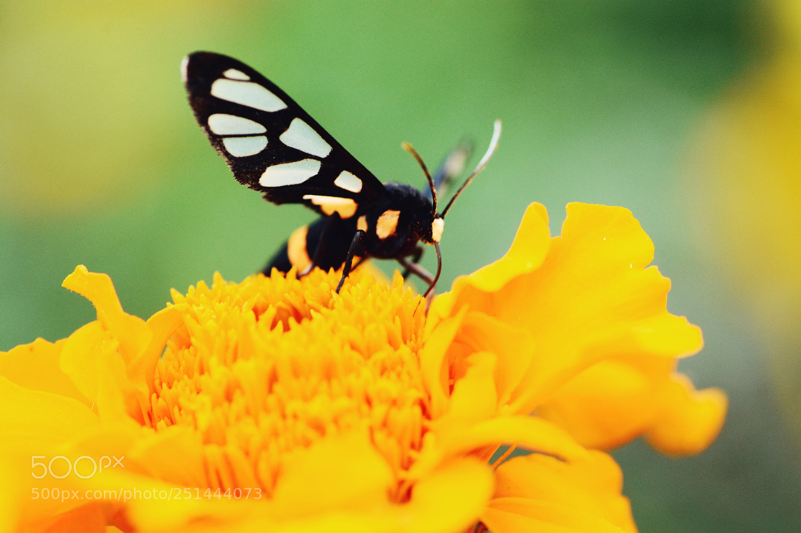 Nikon D7100 sample photo. Untitled photography