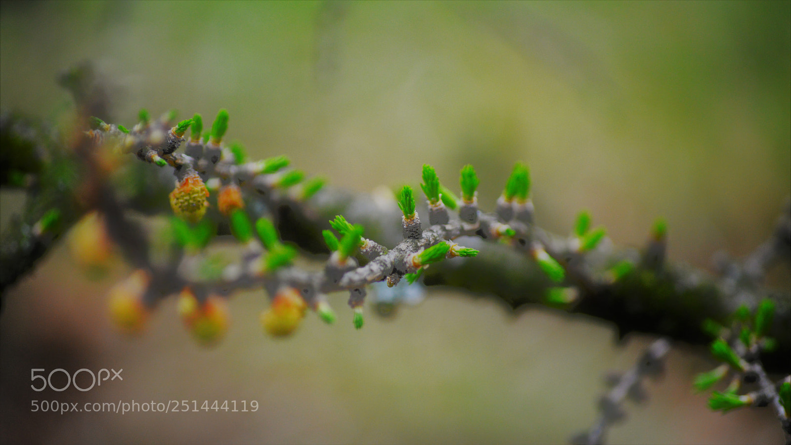 Nikon D3200 sample photo. Untitled photography