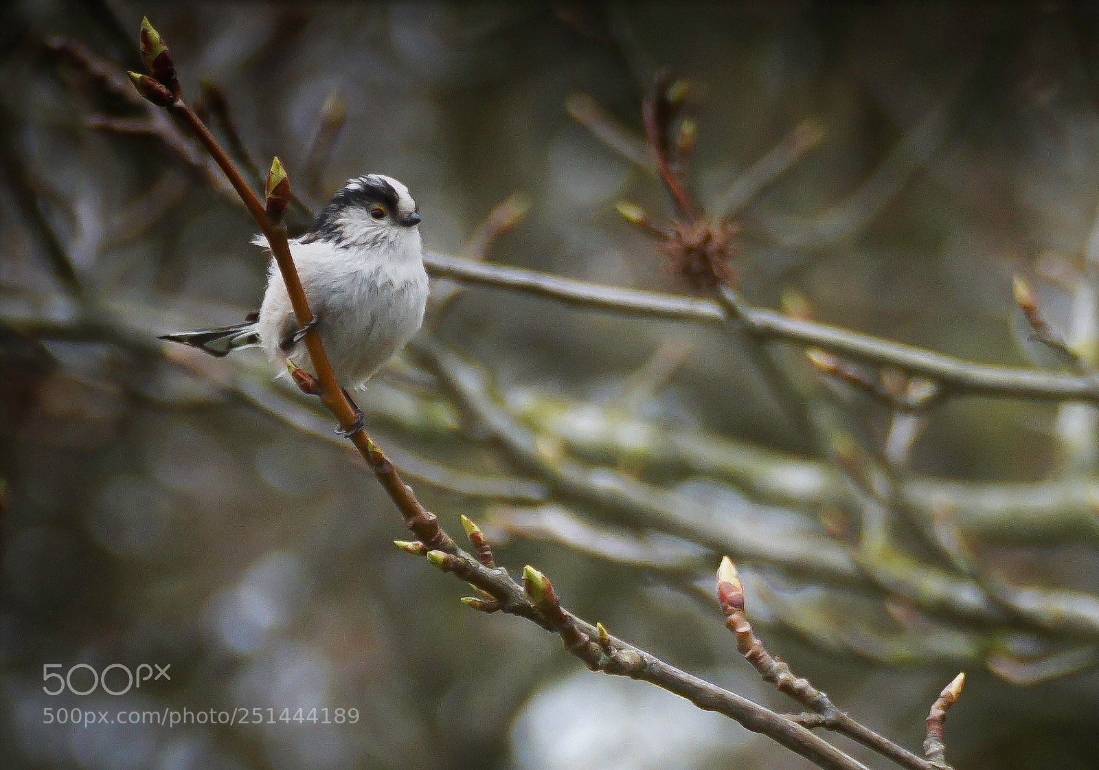 Sony a6000 sample photo. So cute photography