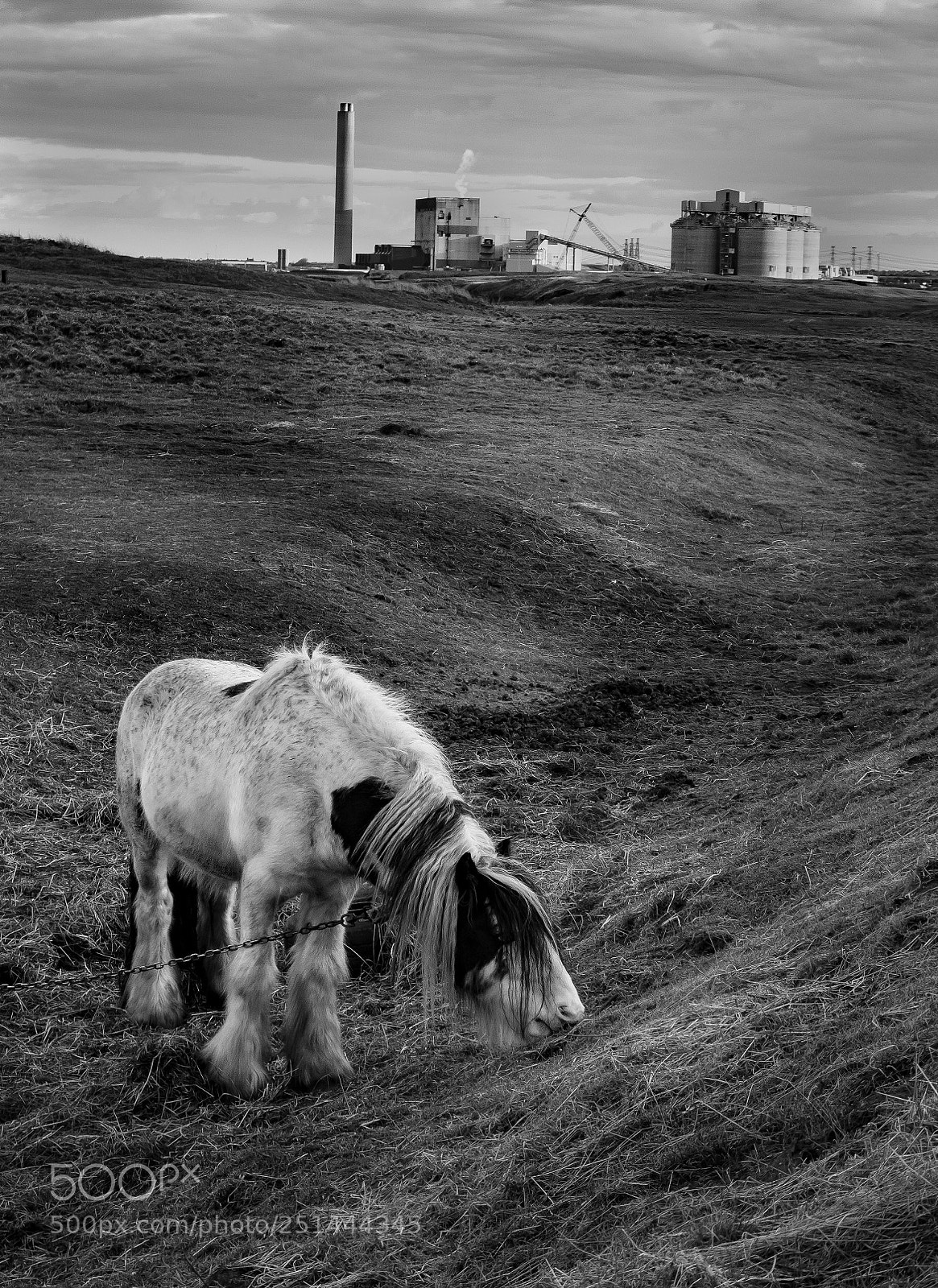 Canon EOS 70D sample photo. The bleak and the photography