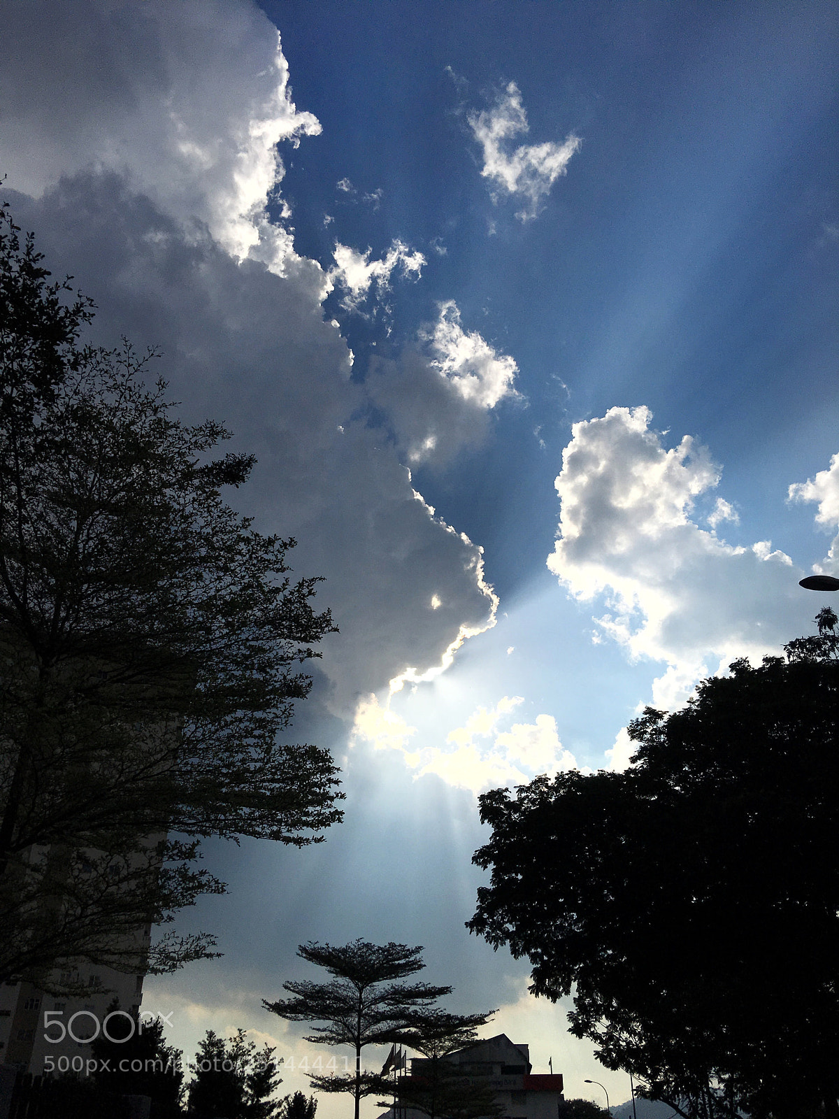 Apple iPhone 6s Plus sample photo. Sunlight photography