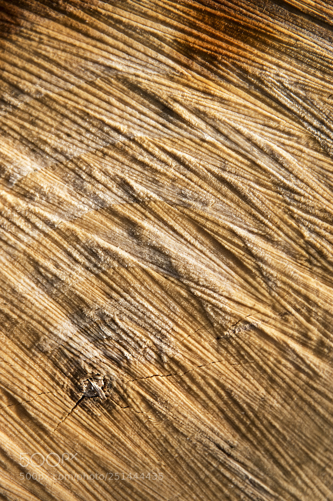 Nikon D5500 sample photo. Abstract grooves for cutting photography