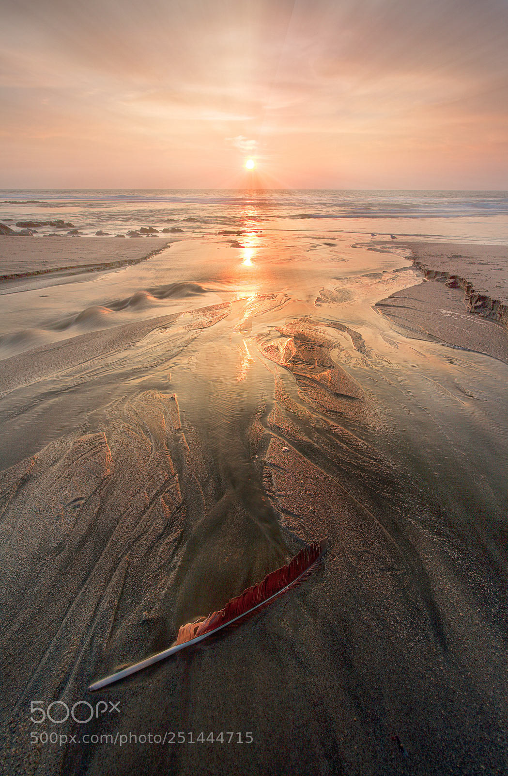 Canon EOS 5D sample photo. Feather in the sand photography
