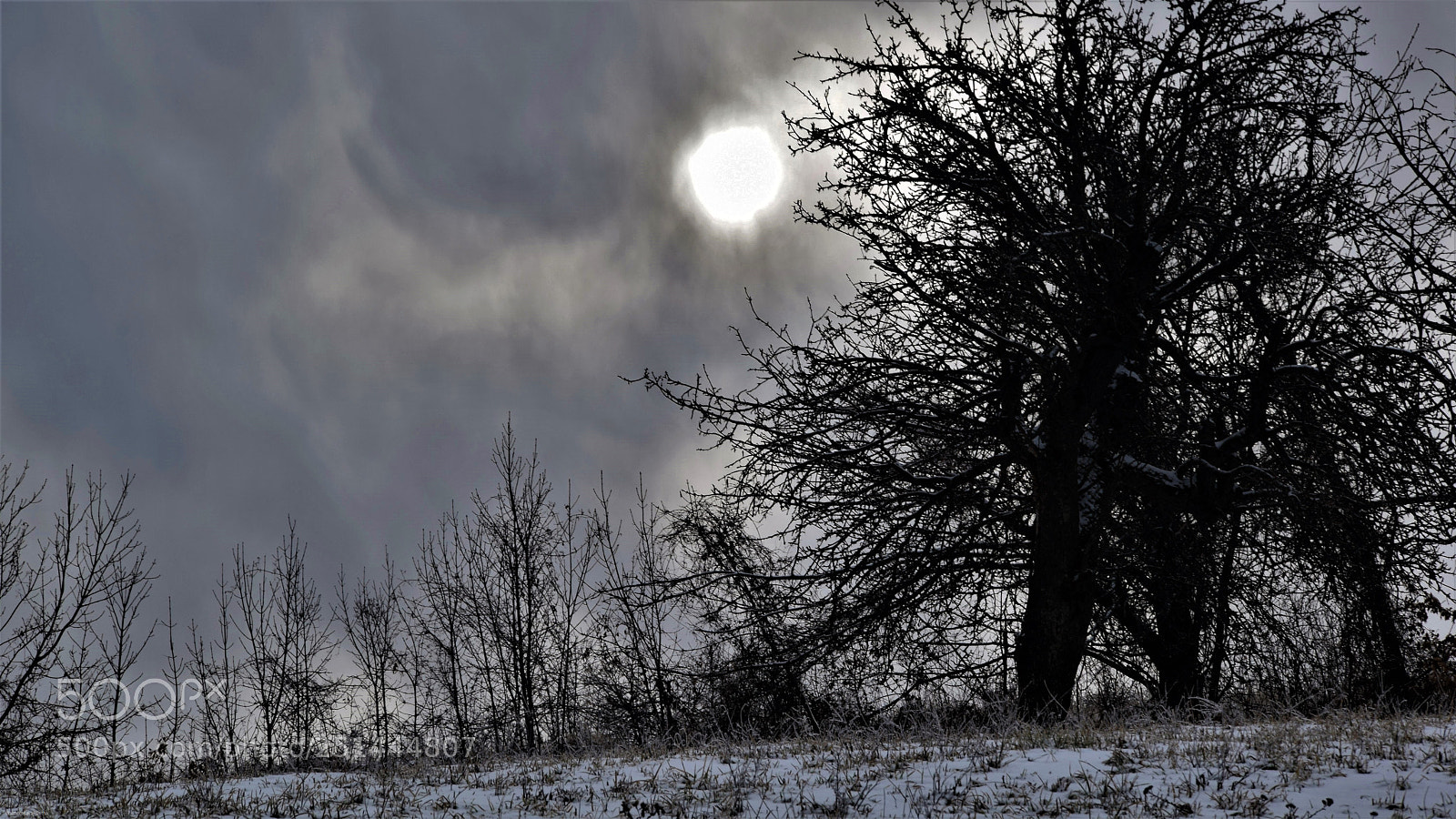 Nikon D3300 sample photo. Darkness photography